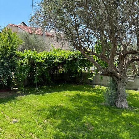 Fotis House Lägenhet Afantou Exteriör bild